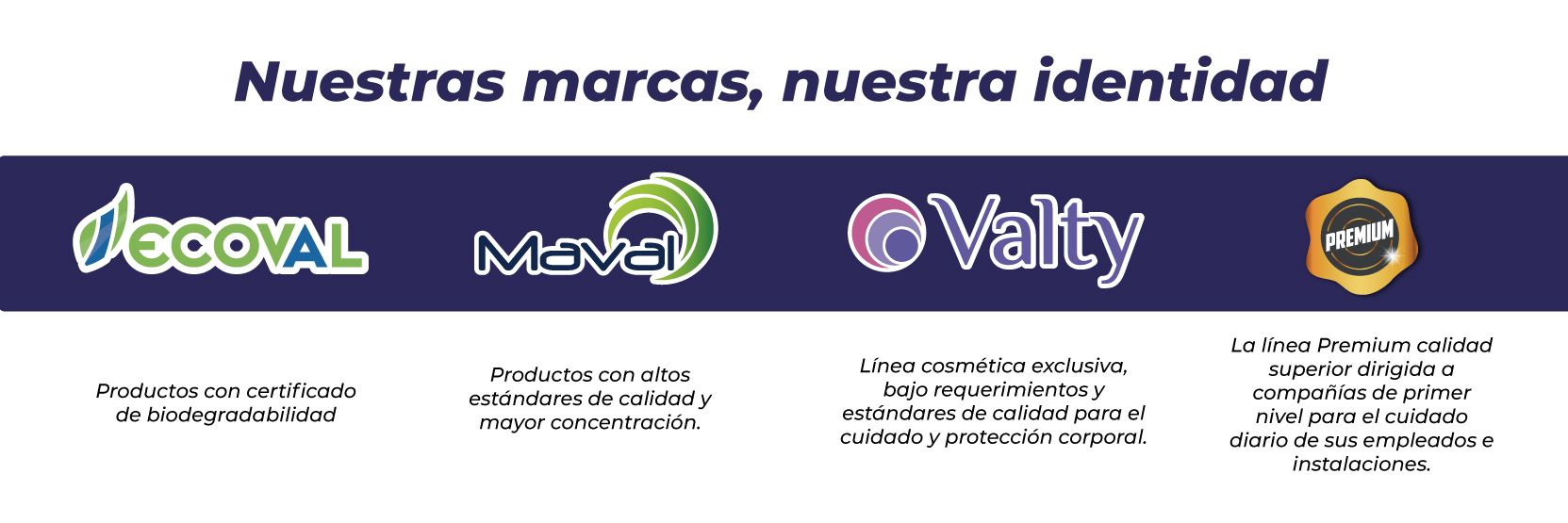 CMS Odoo - Una gran imagen